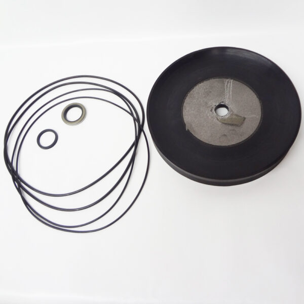 Bead Breaking Cylinder Seal Kit Fits COATS ® Tire Machine 182079