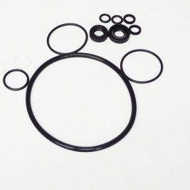 Pump Rebuild Kits